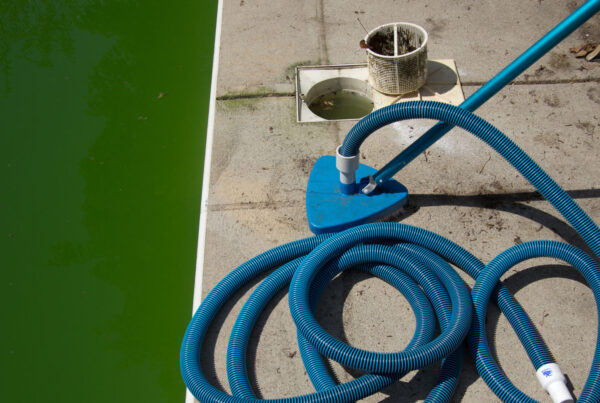 Is your pool’s algae growth hiding a bigger problem?