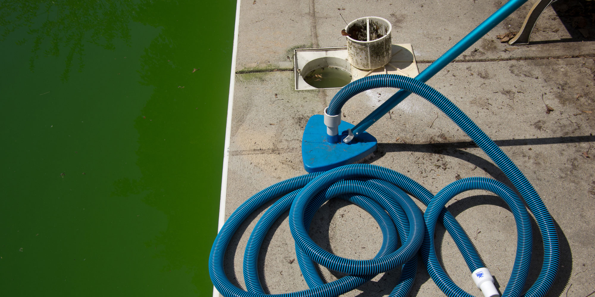 Is your pool’s algae growth hiding a bigger problem?